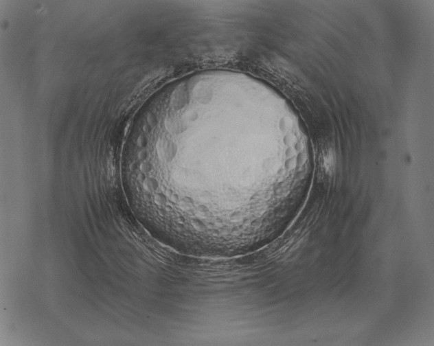 X0000071831252200607211753