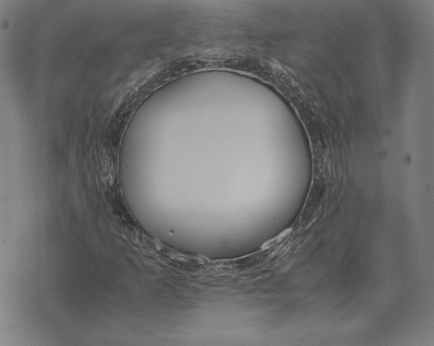 X0000071831253200607211753