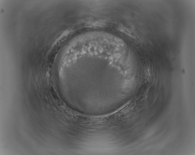 X0000071831254200607211753