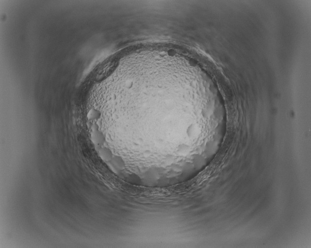 X0000071831255200607211753