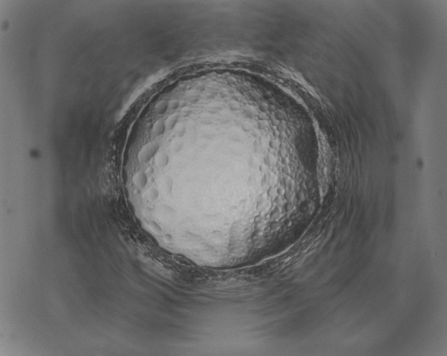 X0000071831256200607211753