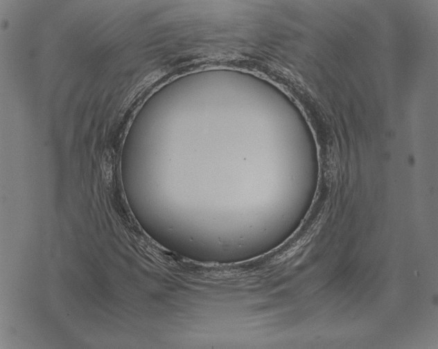 X0000071831257200607211753