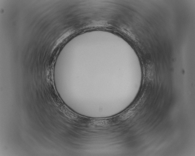 X0000071831258200607211753