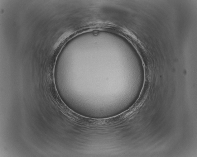 X0000071831259200607211753