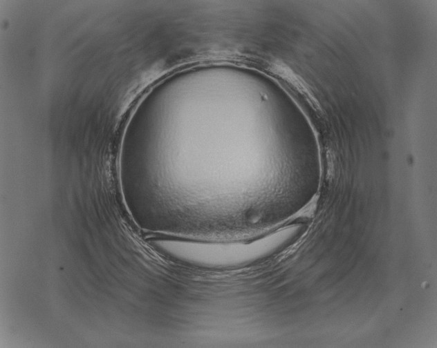 X0000071831260200607211753