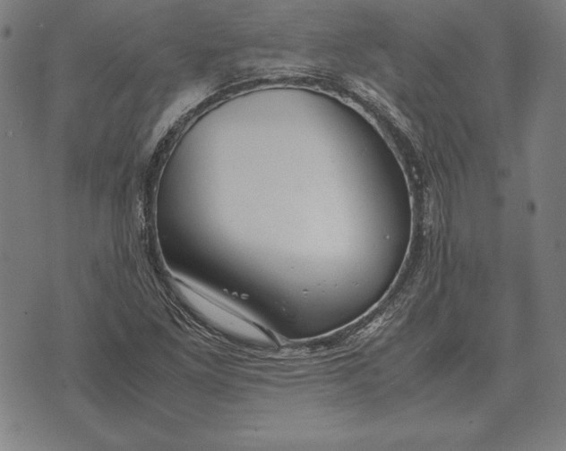 X0000071831261200607211753