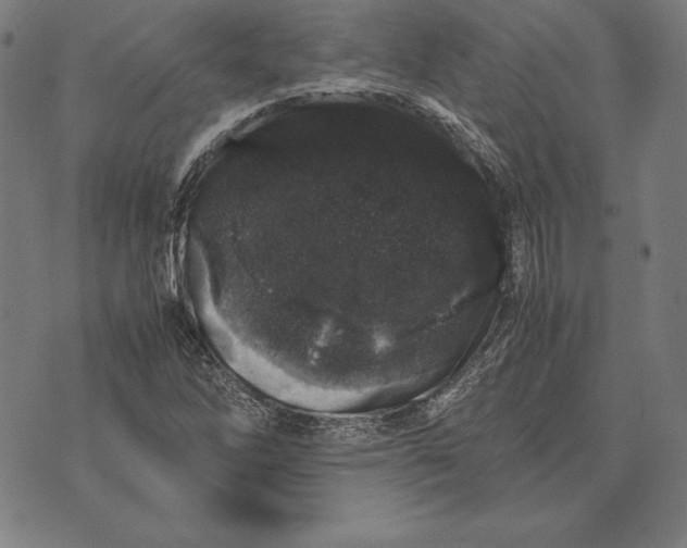 X0000071831262200607211753