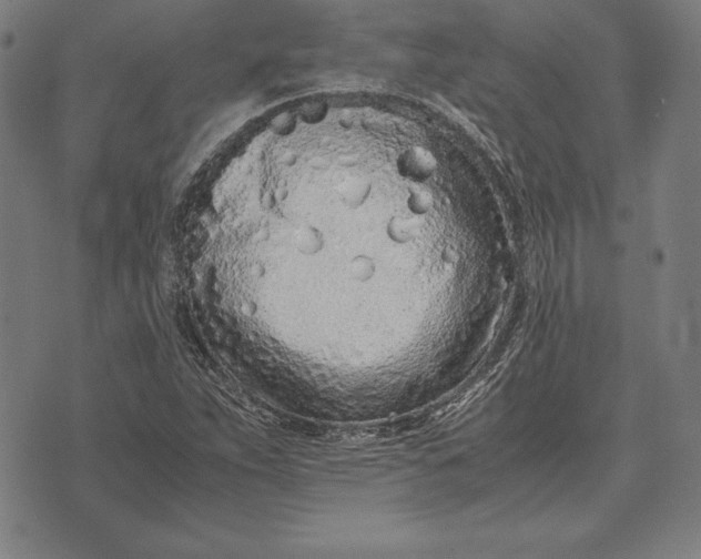 X0000071831263200607211753