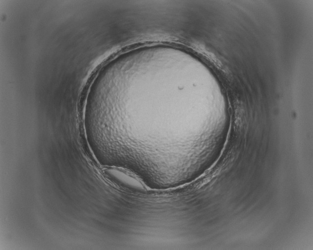 X0000071831264200607211753