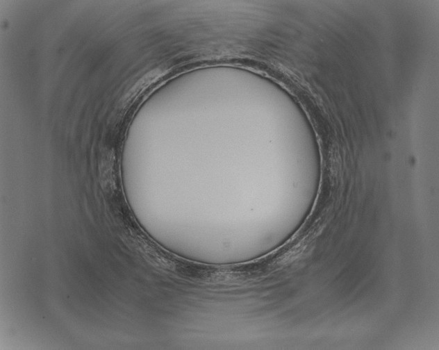 X0000071831265200607211753