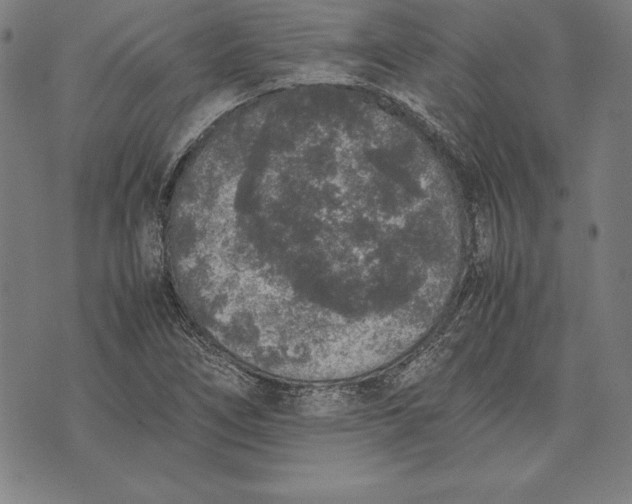 X0000071831266200607211753