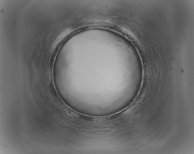 X0000071831267200607211753