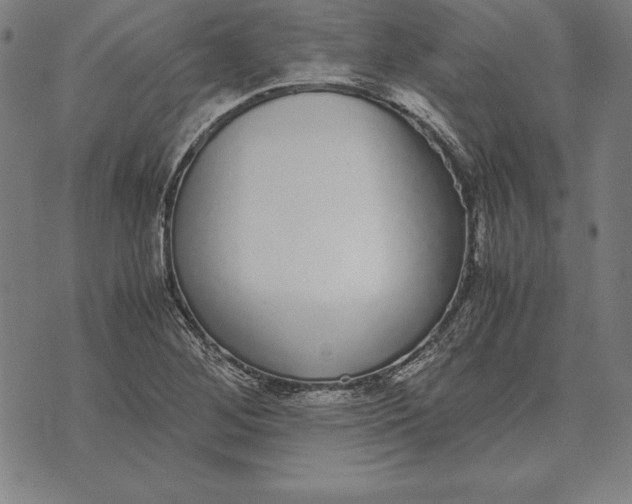 X0000071831268200607211753