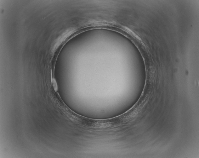 X0000071831269200607211753