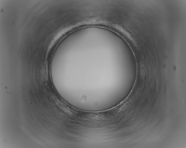 X0000071831270200607211753