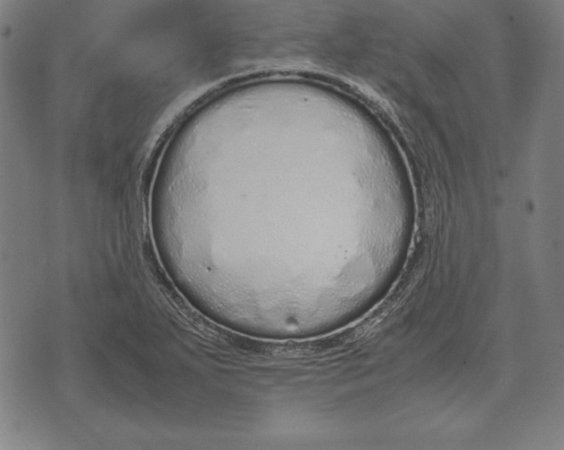 X0000071831271200607211753