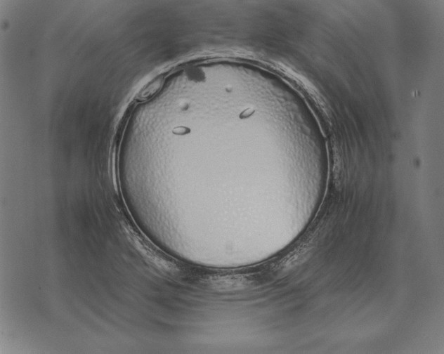 X0000071831272200607211753