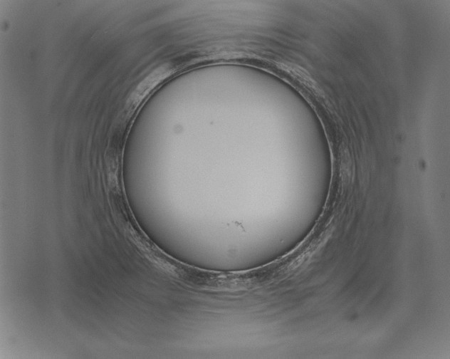 X0000071831273200607211753