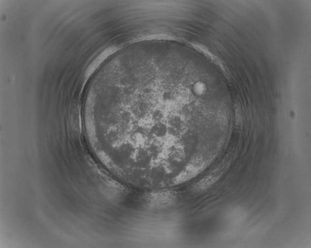 X0000071831274200607211752