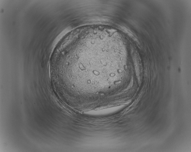 X0000071831275200607211752