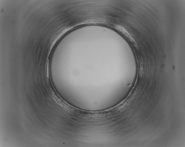 X0000071831276200607211752