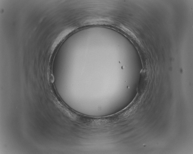 X0000071831277200607211752