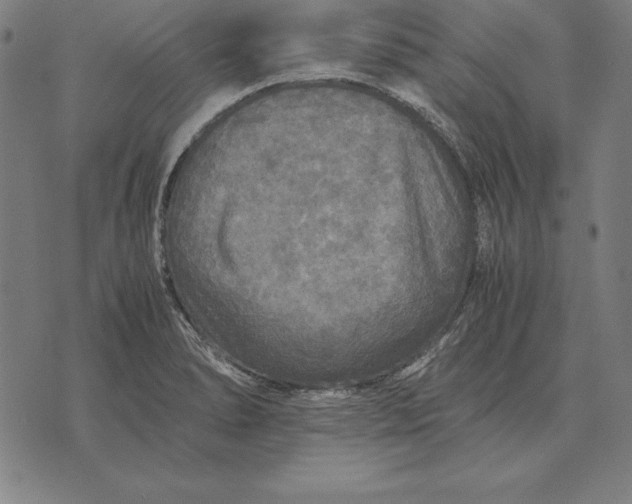 X0000071831278200607211752