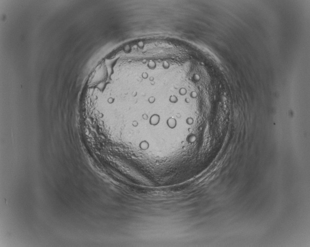 X0000071831279200607211752