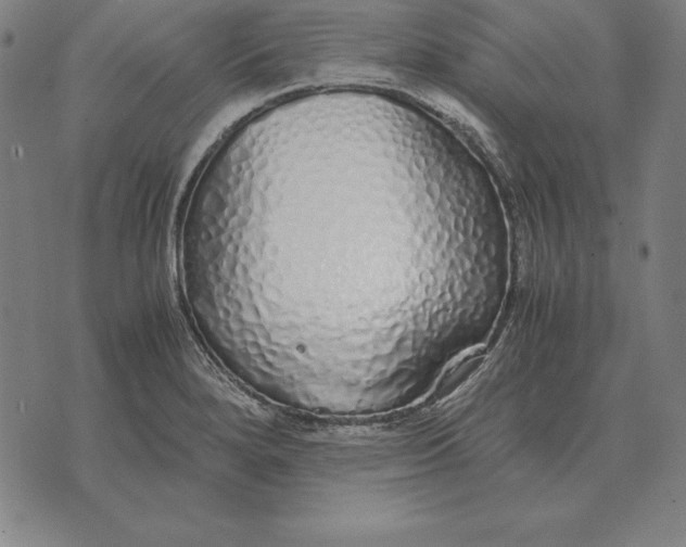 X0000071831280200607211752