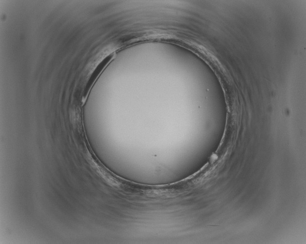 X0000071831281200607211752