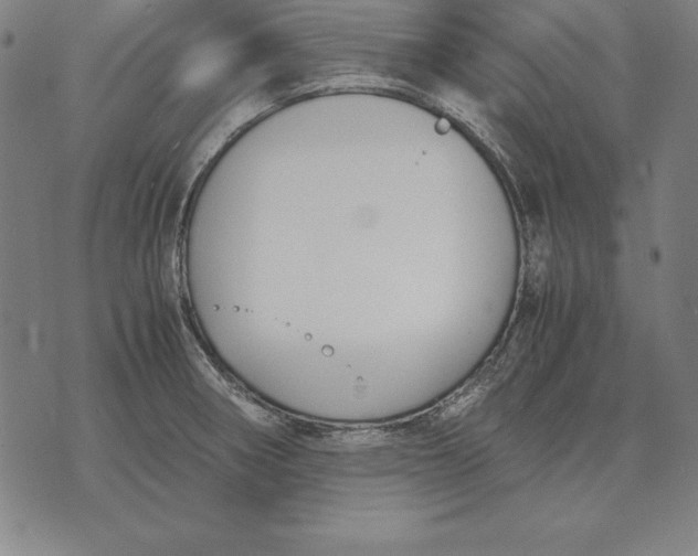 X0000071831282200607211752