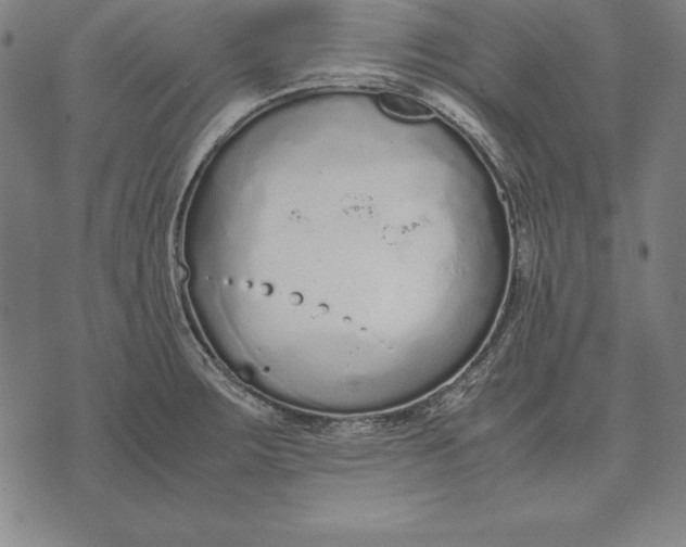 X0000071831283200607211752