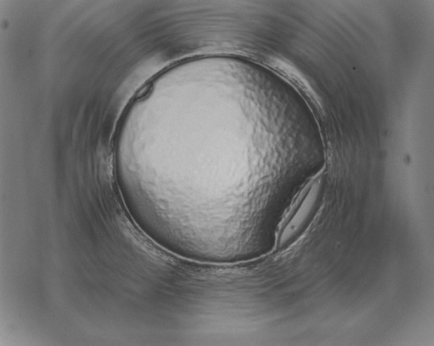 X0000071831284200607211752