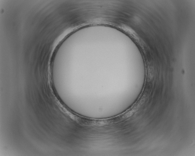 X0000071831286200607211752