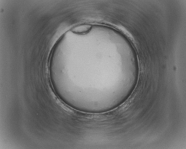 X0000071831287200607211752