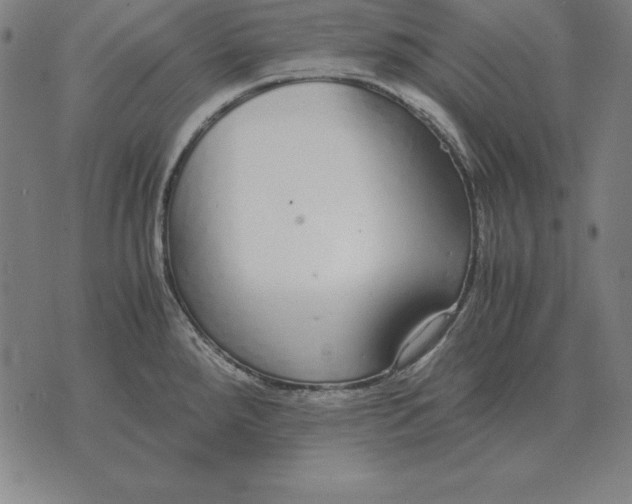 X0000071831288200607211752