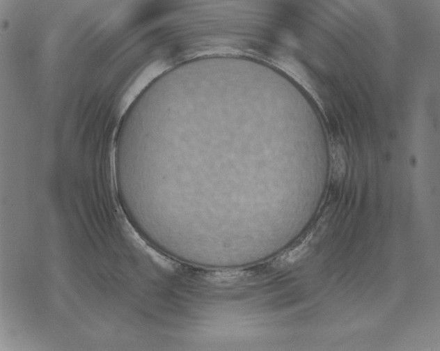 X0000071831290200607211752