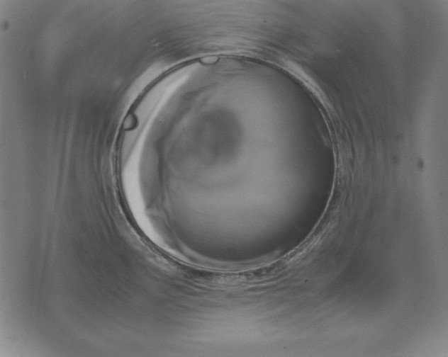 X0000071831291200607211752