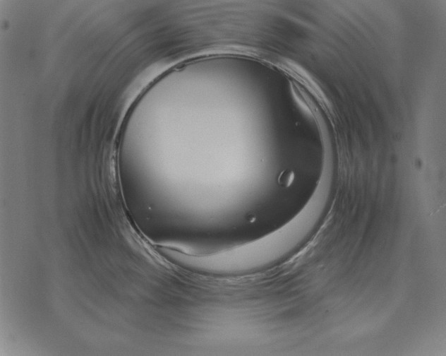 X0000071831292200607211752