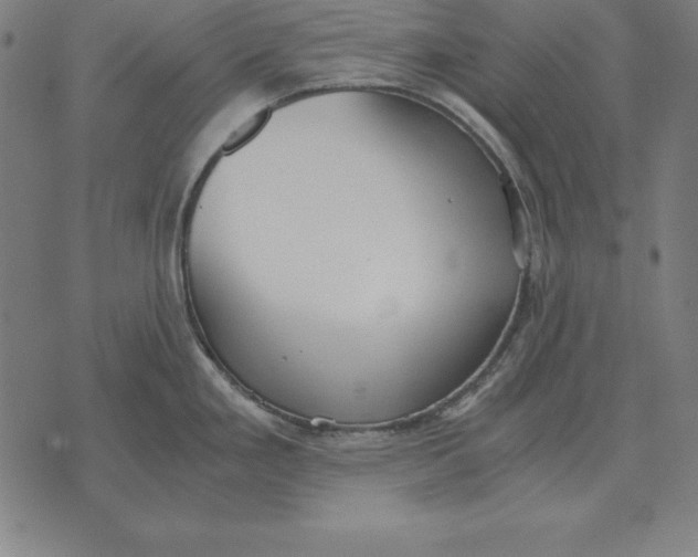 X0000071831293200607211752