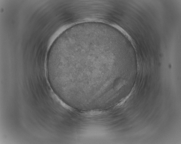 X0000071831294200607211752