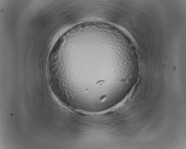 X0000071831295200607211752