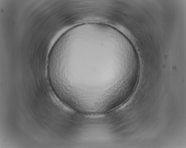 X0000071831296200607211752