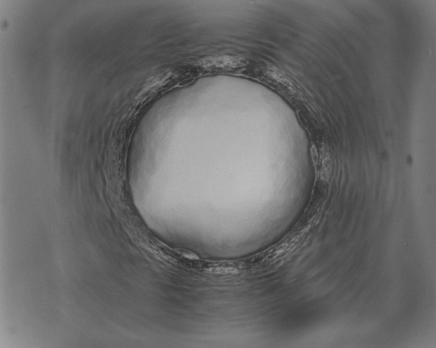 X0000071831297200607211751