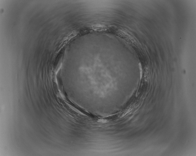 X0000071831298200607211751