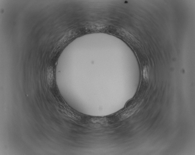 X0000071831299200607211751