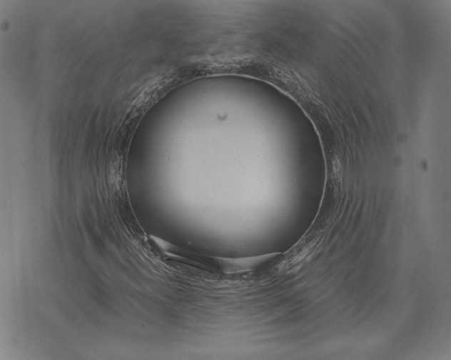 X0000071831300200607211751