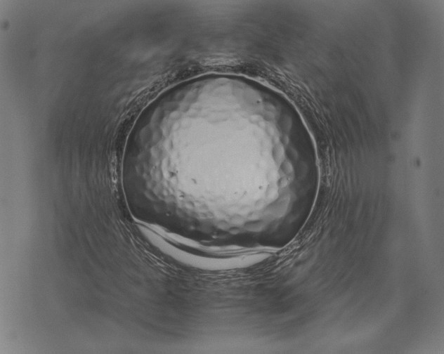 X0000071831301200607211751