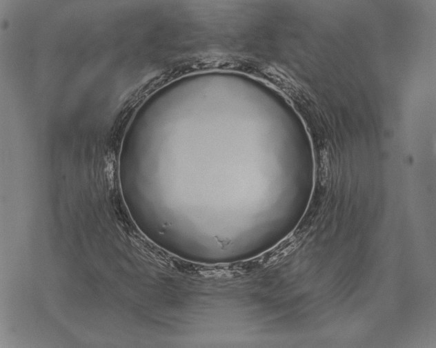 X0000071831302200607211751