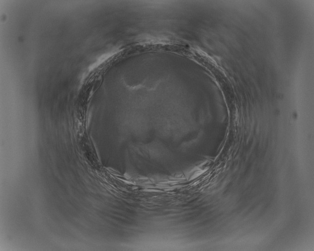 X0000071831303200607211751